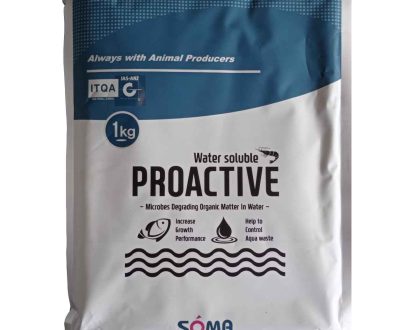 PROACTIVE-KOREA (ফিস প্রোবায়োটিক)